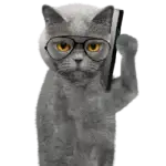 Home Telecom, utility and broadband specialist. Mobile SIM image