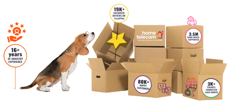 UPS HT Dog image 19k